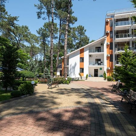 Buxus Hotel Shekvetili エクステリア 写真