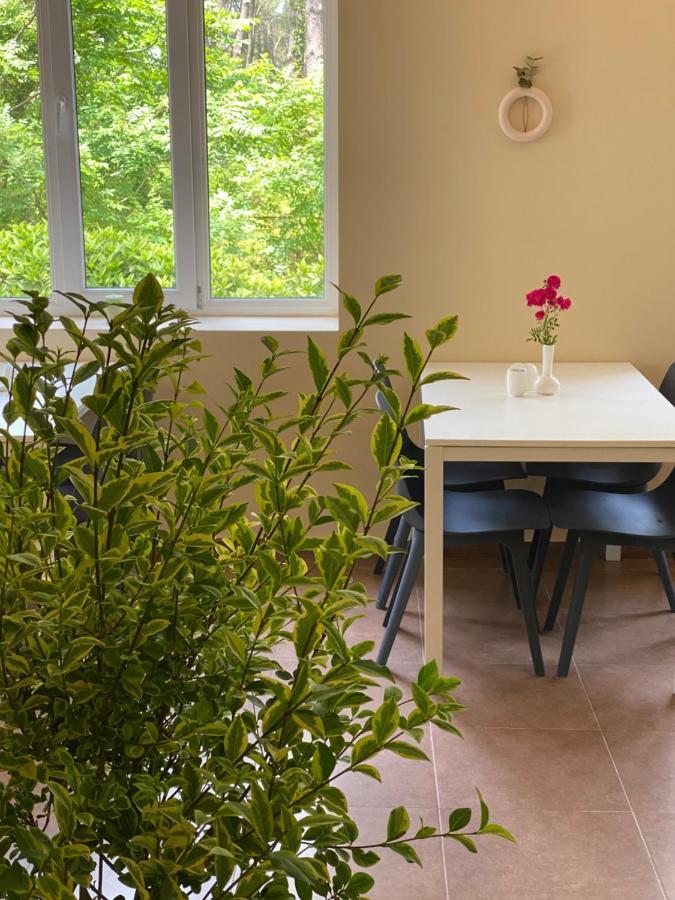 Buxus Hotel Shekvetili エクステリア 写真