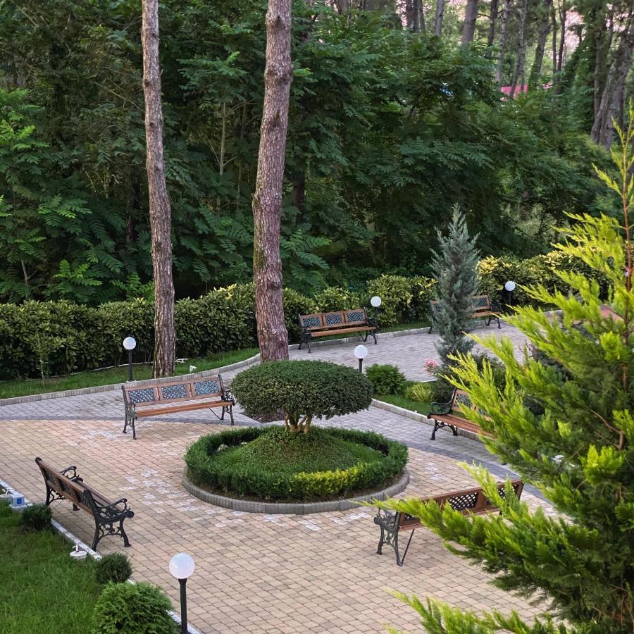 Buxus Hotel Shekvetili エクステリア 写真