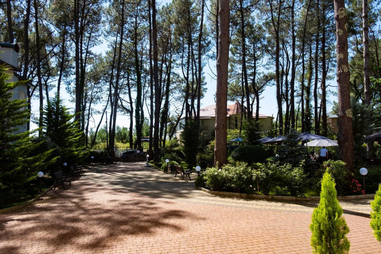 Buxus Hotel Shekvetili エクステリア 写真