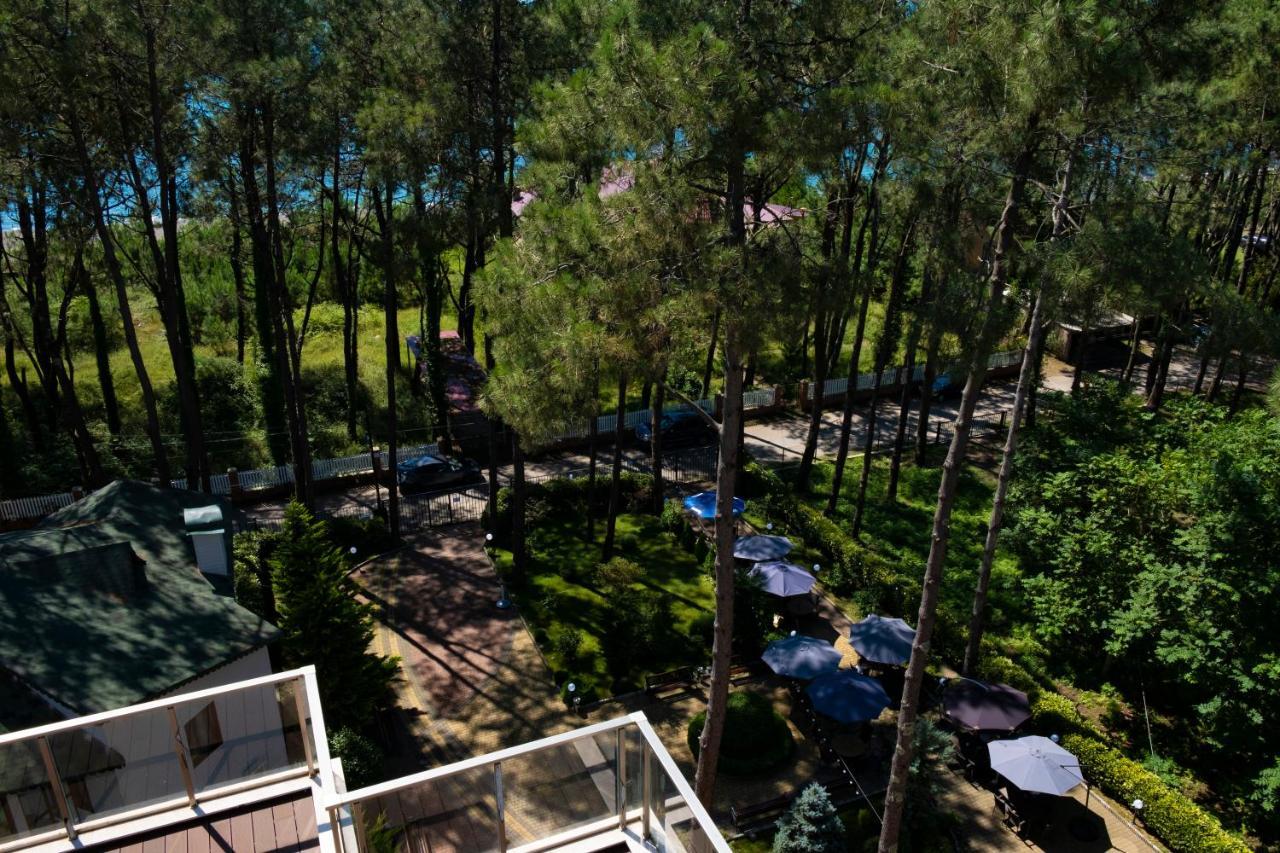 Buxus Hotel Shekvetili エクステリア 写真