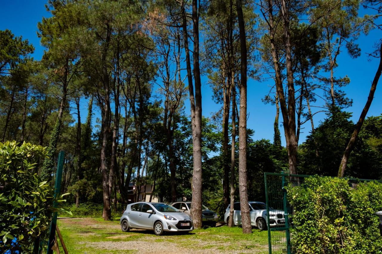Buxus Hotel Shekvetili エクステリア 写真