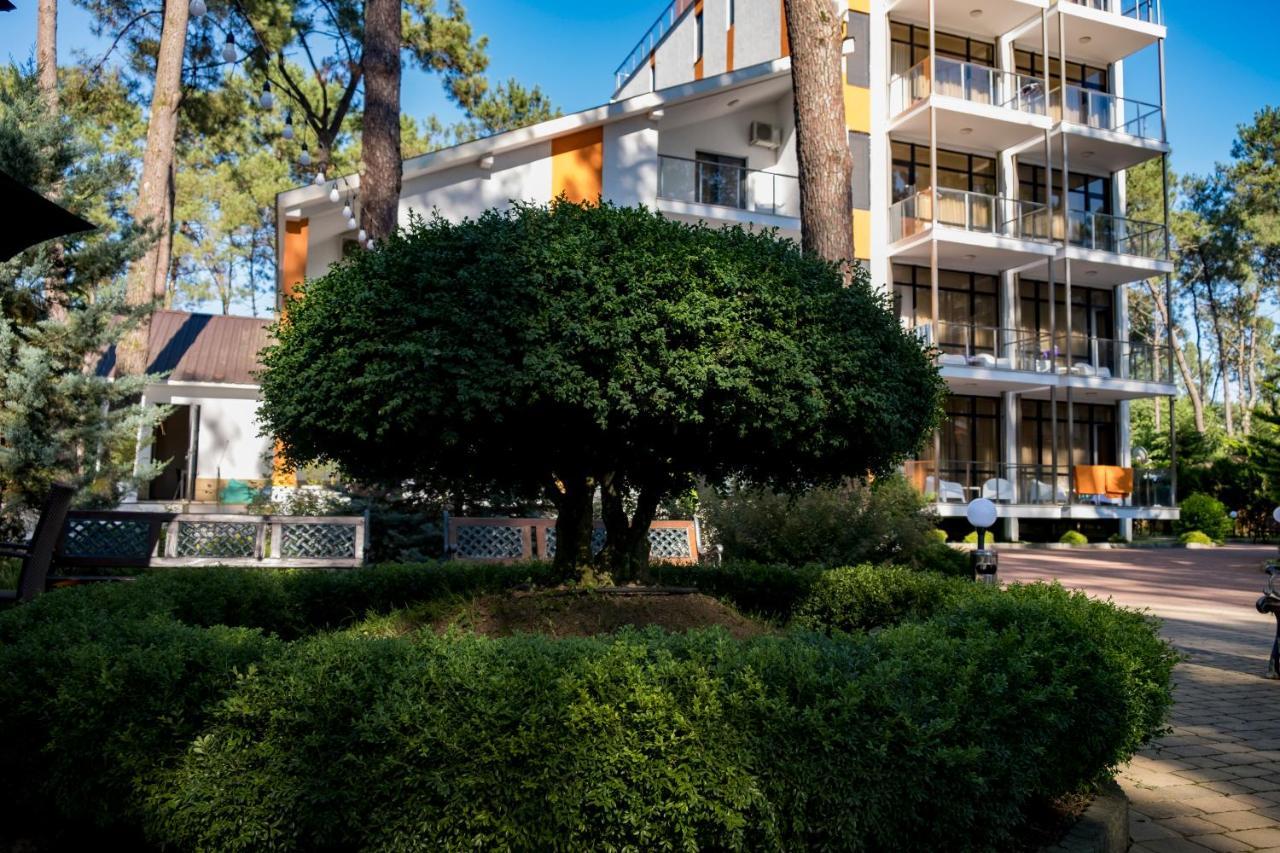 Buxus Hotel Shekvetili エクステリア 写真