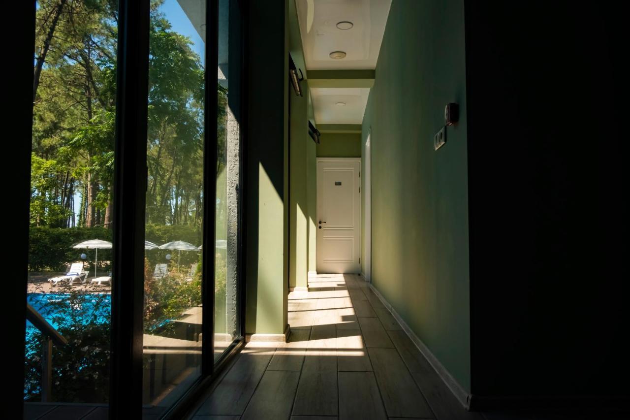 Buxus Hotel Shekvetili エクステリア 写真