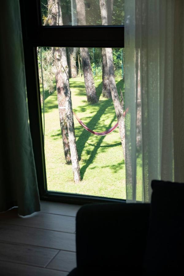 Buxus Hotel Shekvetili エクステリア 写真