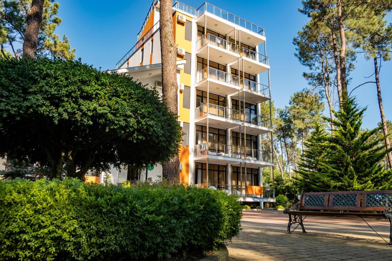 Buxus Hotel Shekvetili エクステリア 写真