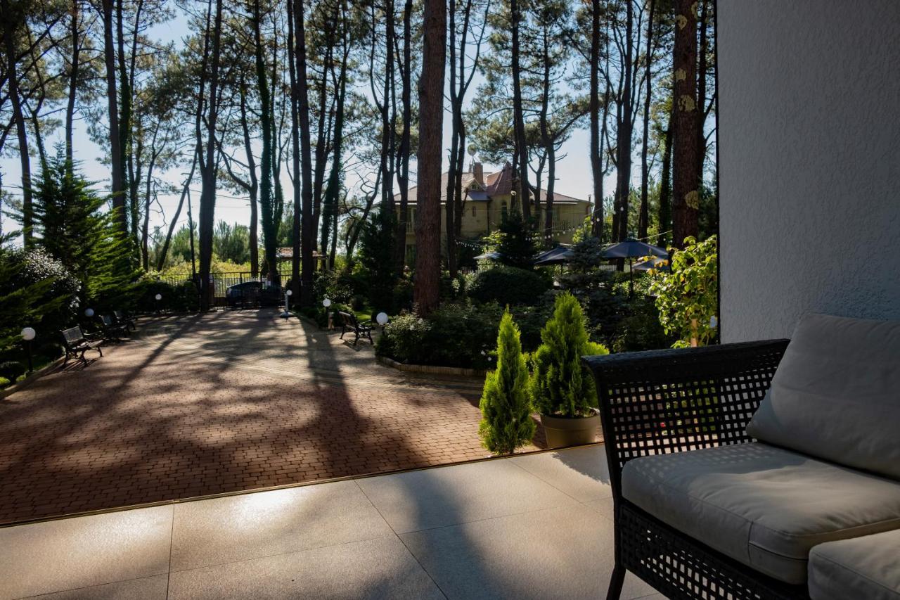 Buxus Hotel Shekvetili エクステリア 写真